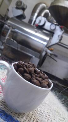 $京都自家焙煎コーヒー「マルトシ珈琲」コーヒーインストラクター新谷のブログ
